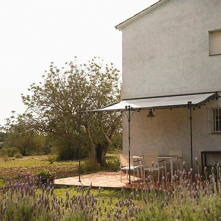 Masia Bartomeu Rural House Between Vineyards 2Km From The Beach El Vendrell Exterior photo